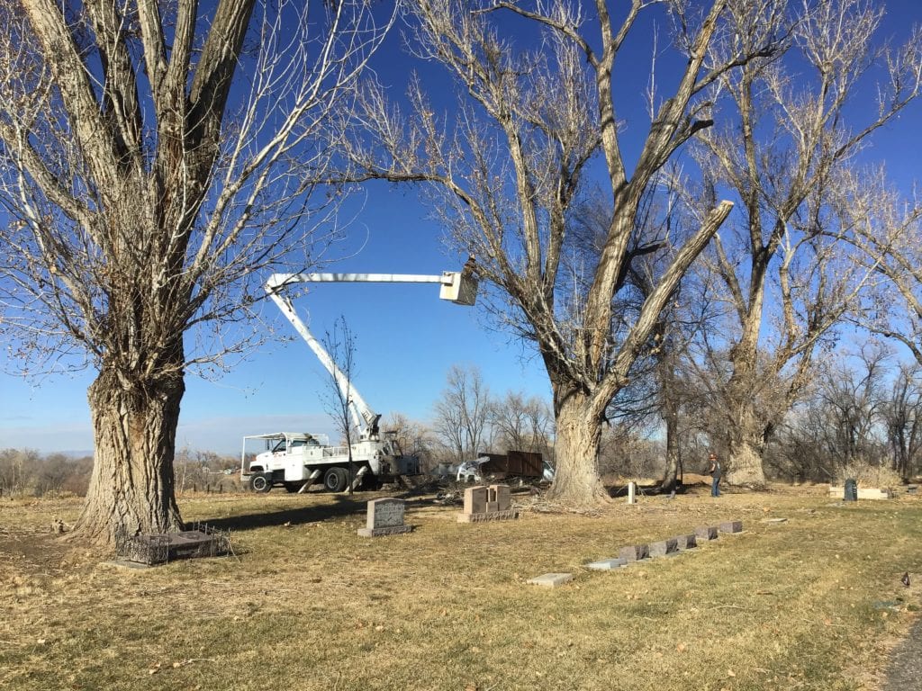 R & M Tree Service Grand Junction