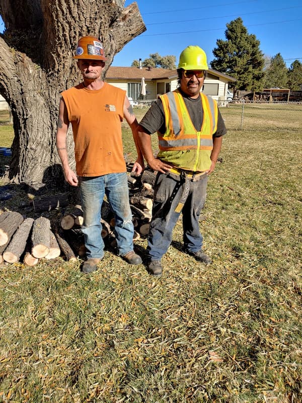 R & M Tree Service Crew and Arborist